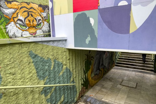 Димитър Кьосемарлиев, Dnes.bg